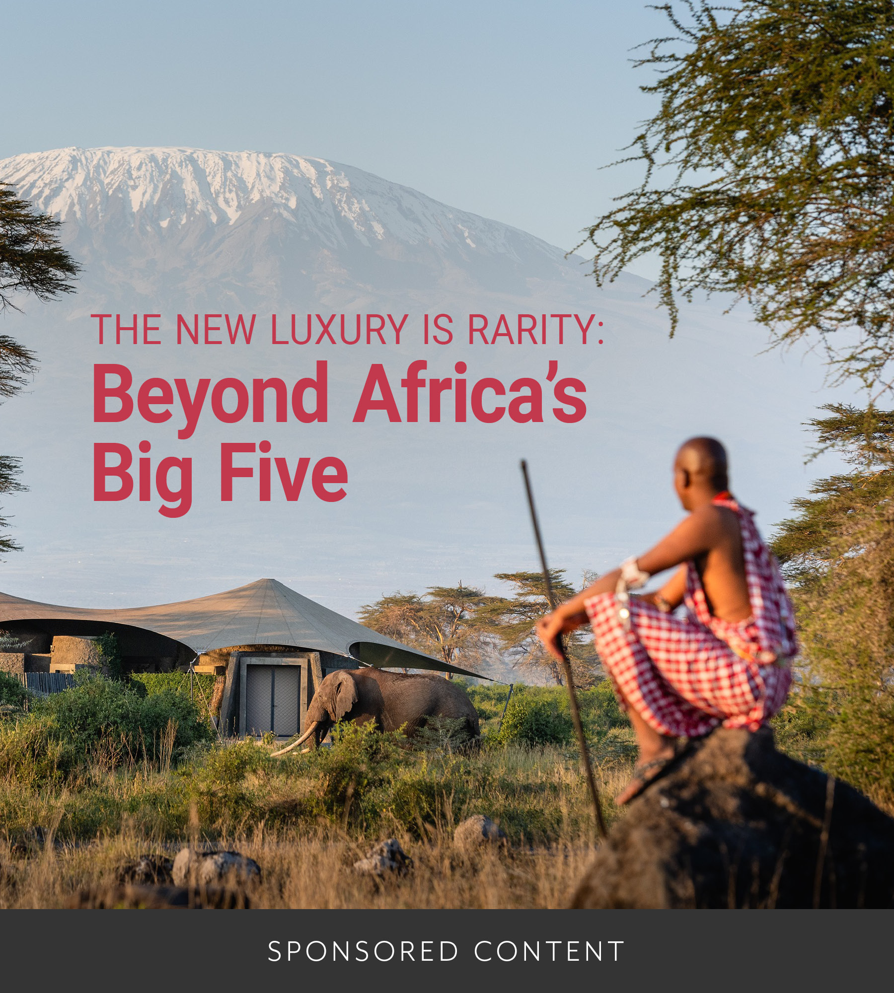 The new luxury is rarity: Beyond Africa’s Big Five | The CEO Magazine